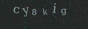Validation image